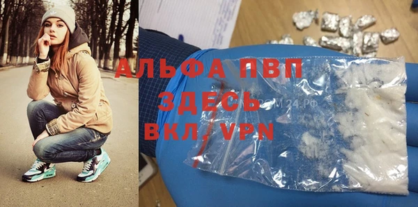 шишки Абинск