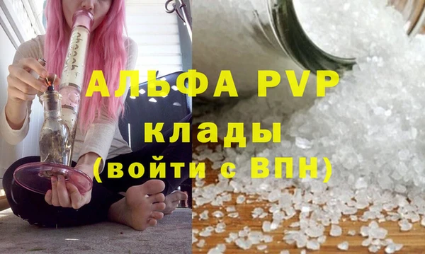 индика Алексин