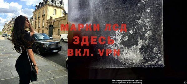 индика Алексин