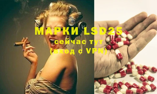 индика Алексин