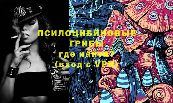 шишки Абинск