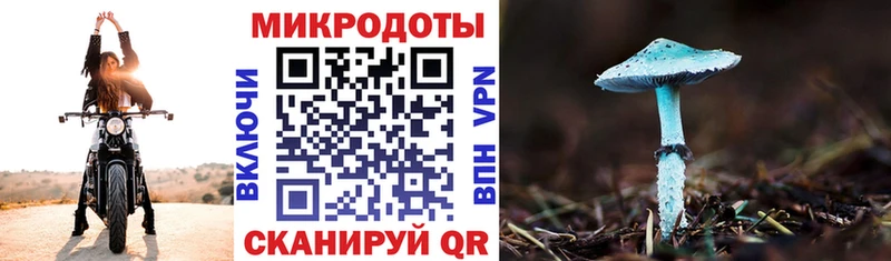 Галлюциногенные грибы мицелий  Зуевка 